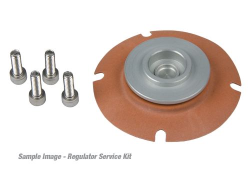 Carbureted Fuel Pressure Regulator Service Kit. For Regulator P/N 13203.