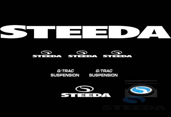 Steeda G/Tra Graphics Package - Silver